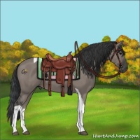 Horse Color:Grullo Tobiano 