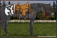 Horse Color:Black Appaloosa Rabicano 