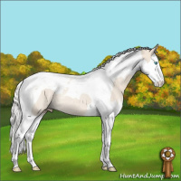 Horse Color:Silver Smoky Creme Splash Tobiano Rabicano 