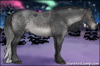 Horse Color:Platinum Brown Dun Rabicano 