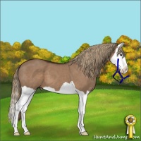 Horse Color:Liver Red Dun Splash 