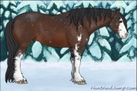 Horse Color:Brown Sabino
