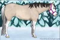 Horse Color:Bay Roan Dun Splash