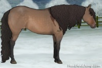 Horse Color:Brown Dun Appaloosa 