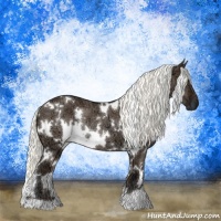Horse Color:White Spotted Liver Red Dun Ice Mushroom Rabicano 