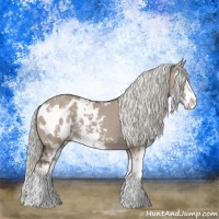 Horse Color:Liver Red Dun Mushroom Sabino Appaloosa 