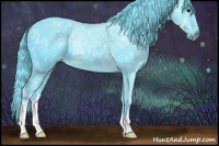 Horse Color:Watercolor Black Ice 
