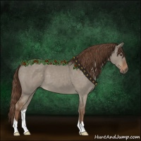 Horse Color:Liver Red Dun Roan 