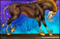 Horse Color:Void Bay 