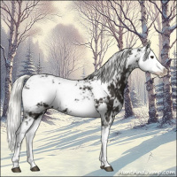 Horse Color:Liver Chestnut Mushroom Sabino 