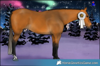 Horse Color:Gray Buckskin  and Gray Buckskin 