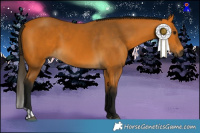 Horse Color:Gray Buckskin  and Gray Buckskin 