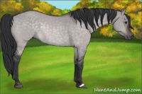 Horse Color:Platinum Brown Dun