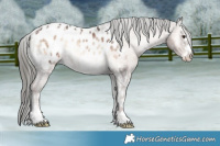 Horse Color:Liver Red Onyx Ice Mushroom Blanket Rabicano 