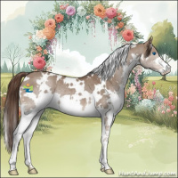 Horse Color:White Spotted Liver Red Dun Splash Rabicano 