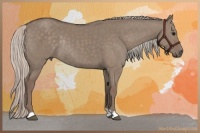 Horse Color:Silver Grullo Rabicano 