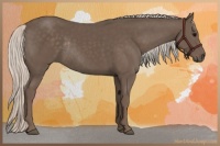 Horse Color:Silver Black Rabicano
