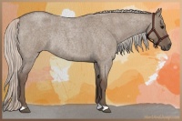 Horse Color:Silver Grullo Roan Rabicano