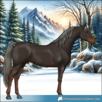 Horse Color:Liver Chestnut Mushroom 