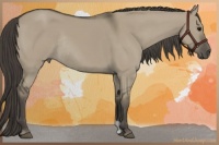 Horse Color:Smoky Grullo Rabicano