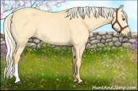 Horse Color:Palomino Dun Rabicano