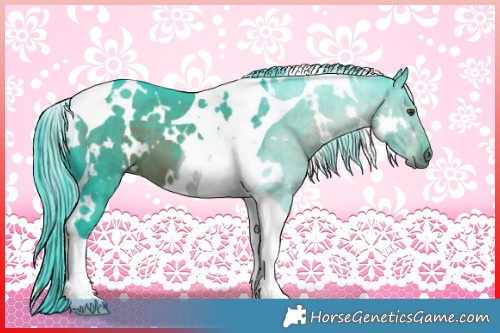 Horse Color:Watercolor White Spotted Liver Chestnut Mushroom Tobiano 