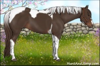 Horse Color:Liver Chestnut Tobiano