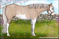 Horse Color:Silver Bay Roan Dun Splash Frame Varnish Rabicano 