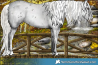 Horse Color:White Spotted Liver Chestnut Mushroom Sabino 