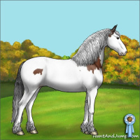 Horse Color:Brown Splash Tobiano 