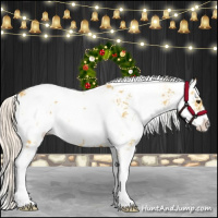 Horse Color:Palomino Sabino Rabicano 