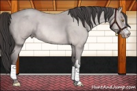 Horse Color:Platinum Sable Champagne Roan 