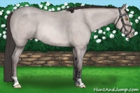 Horse Color:Platinum Sable Champagne Roan 