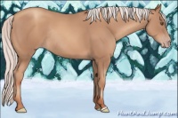 Horse Color:Silver Classic Champagne Rabicano