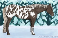 Horse Color:Silver Smoky Black Appaloosa 