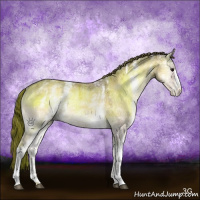 Horse Color:White Spotted Buckskin Ice Onyx Varnish Rabicano