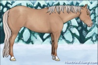 Horse Color:Silver Classic Champagne