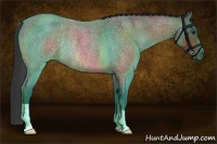 Horse Color:Brown Roan Rabicano 