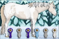 Horse Color:Smoky Creme Tobiano Appaloosa 