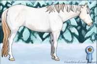 Horse Color:White Spotted Buckskin Pearl Tobiano