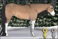 Horse Color:Bay Dun Sabino 