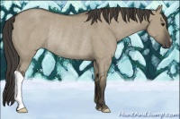 Horse Color:Smoky Grullo Rabicano