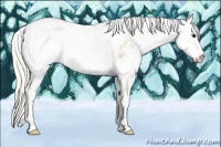 Horse Color:Silver Smoky Grullo Sabino Appaloosa Rabicano 