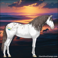 Horse Color:Brown Roan Dun Sabino Splash Appaloosa 