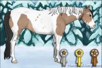 Horse Color:Bay Dun Sabino Tobiano Rabicano 