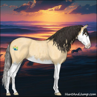 Horse Color:Buckskin Roan Dun Sabino Splash 