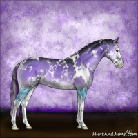 Horse Color:Painted White Spotted Grullo Chinchilla Onyx Splash 