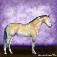 Horse Color:Painted White Spotted Brown Chinchilla Onyx Brindle 