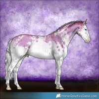 Horse Color:White Spotted Silver Classic Champagne Onyx Splash Brindle 