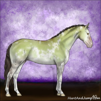 Horse Color:White Spotted Sable Champagne Onyx Rabicano